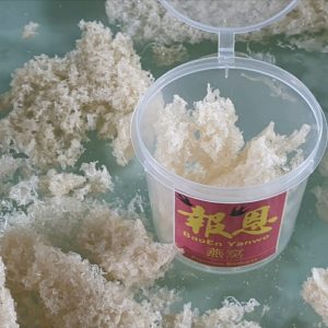 Sarang Walet Bersih HANCURAN Toples Besar