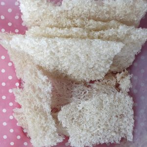 Sarang Walet Bersih HANCURAN Toples Kecil